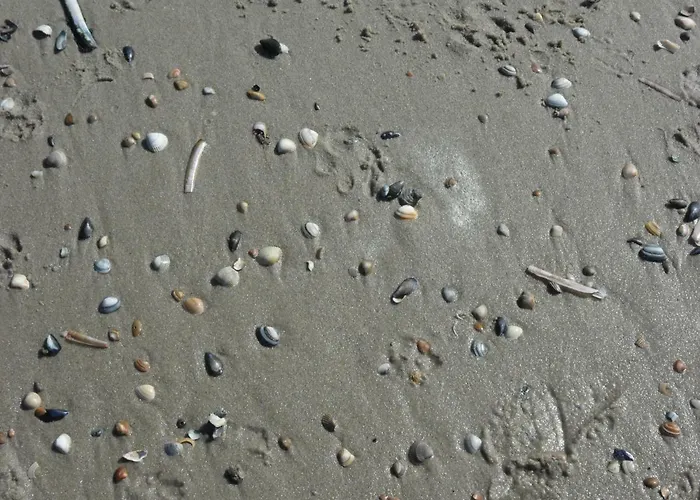 Appartement Strandleben 1 *