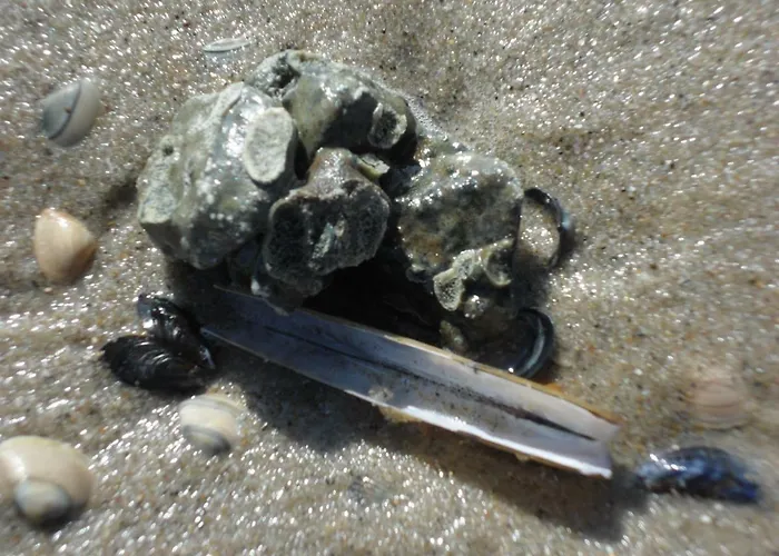 Strandleben 1 * Grömitz